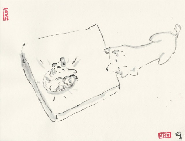 bed thief pim and poodle