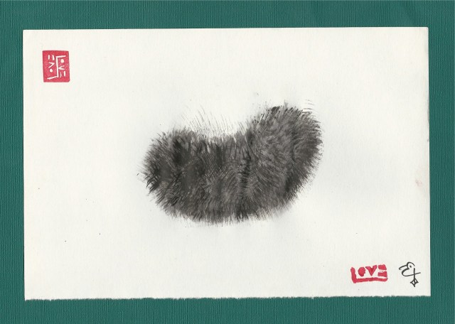 big black fuzzy caterpillar