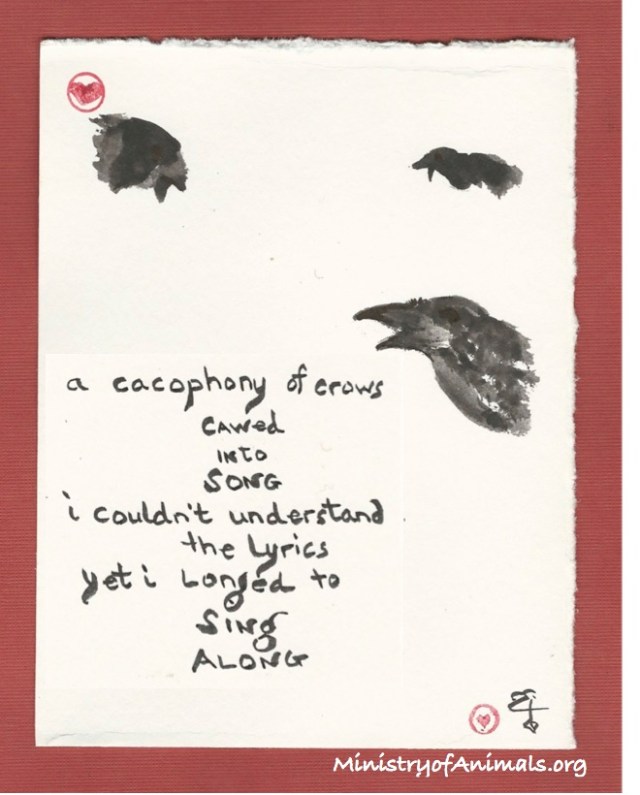 Cacophony of Crows