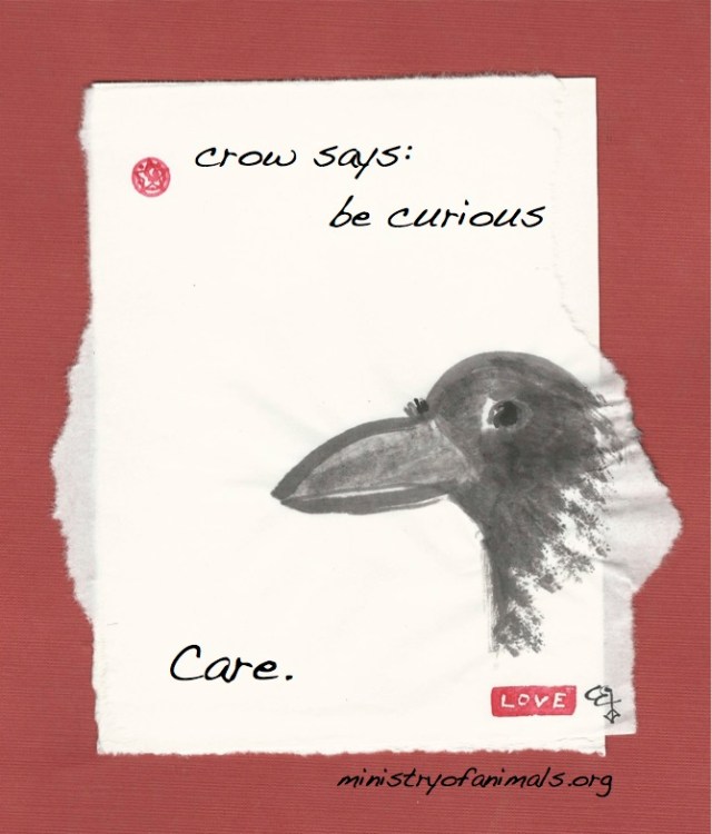 care crow