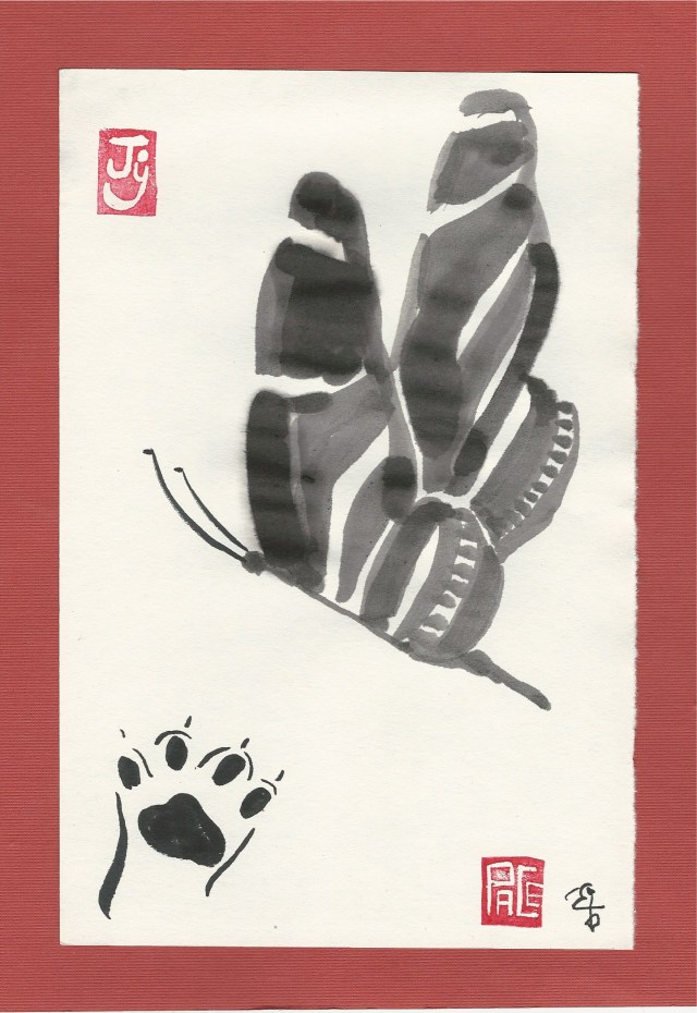 litten paw zebra butterfly