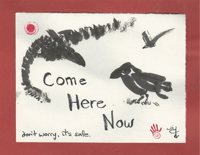 not quite murder crows