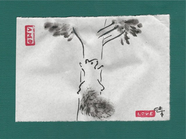 squirrel climbing tree