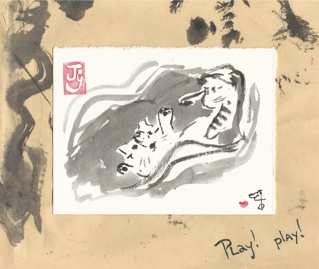 two kitten and a blanket play