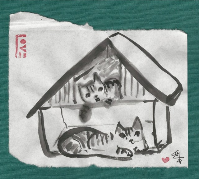 two kittens play house