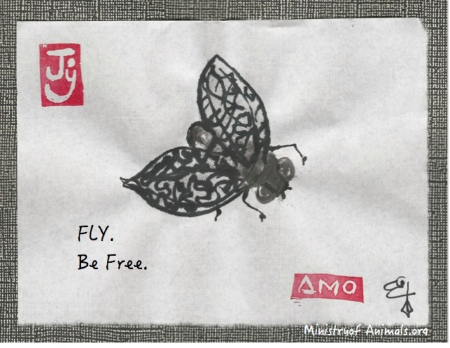 fly-be-free