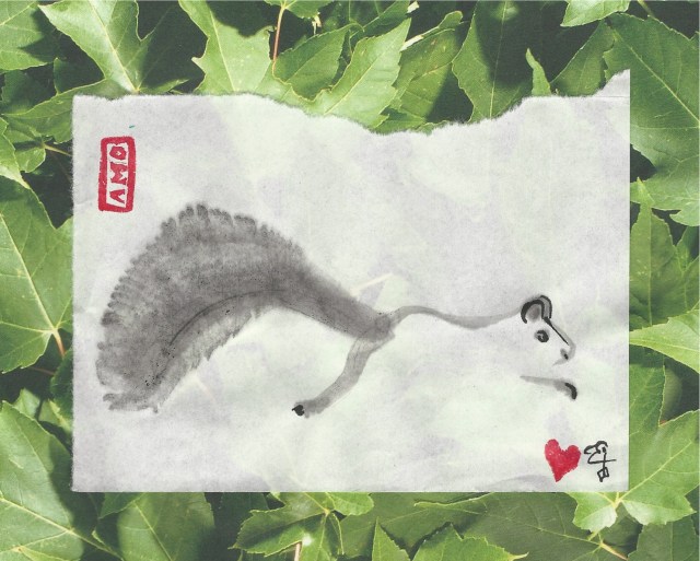 squirrel-running-in-tree