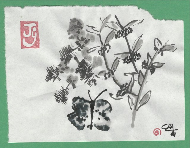 butterfly-on-bottlebrush-and-beauty-berry