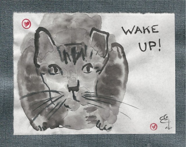 feral-cat-wake-up