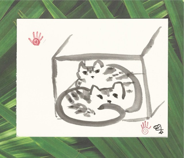 kittens-in-box-under-palm-leaves