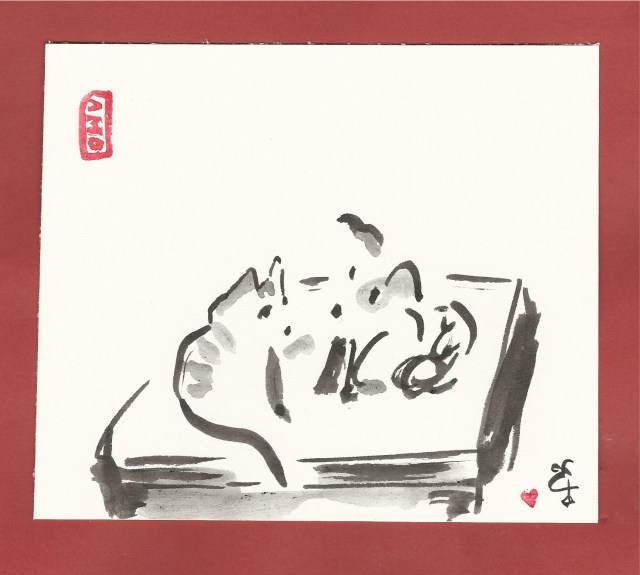 pim-and-yin-on-ottoman-kitten-snf-dog