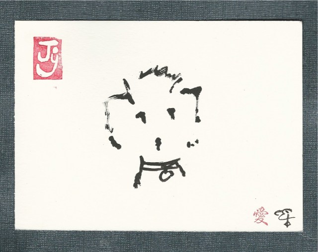 poodle-head-w-collar