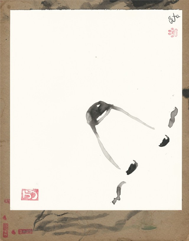 poodle-nose-lower-right