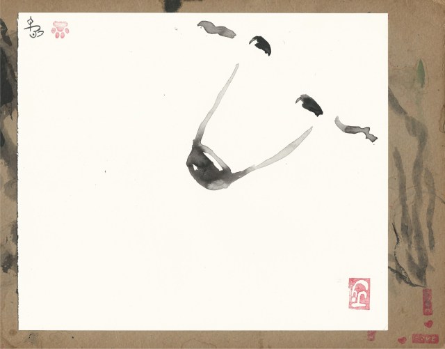 poodle-nose-upper-right