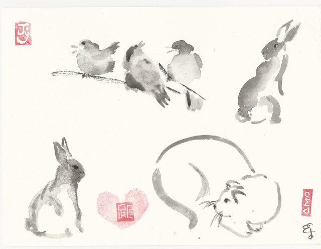practice-bunnies-and-birds-and-a-cat