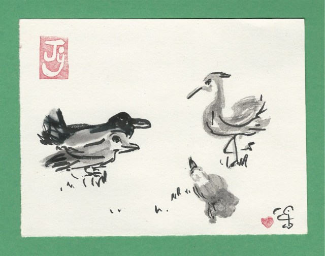 birds-not-of-a-feather-2