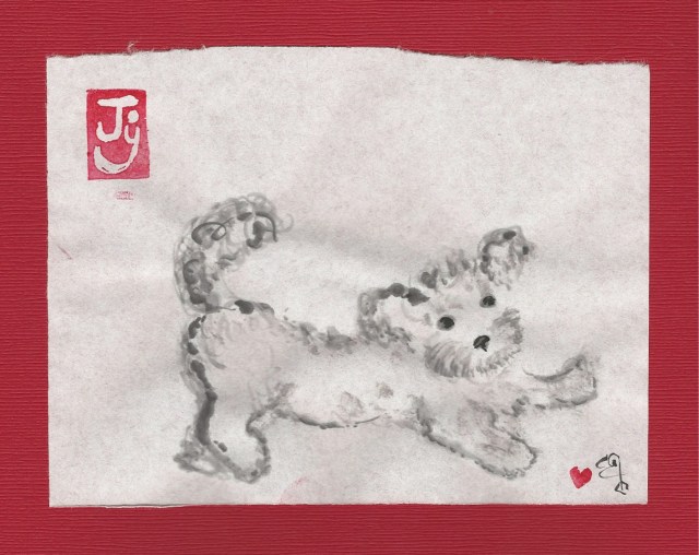 bouncy-curly-puppy-bad-dog