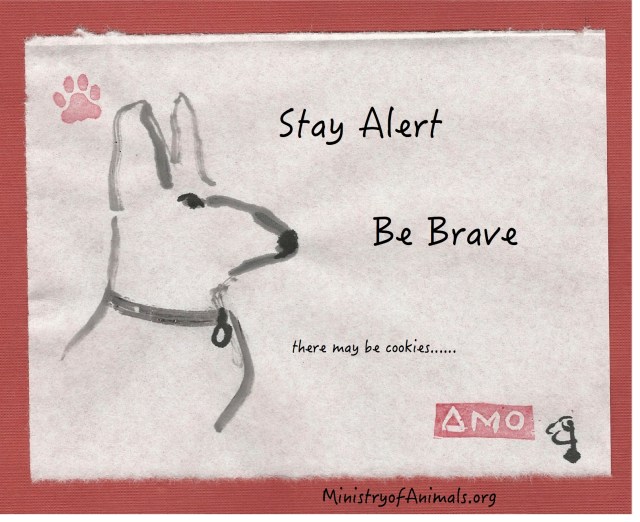 noble-shepherd-brave-cookies