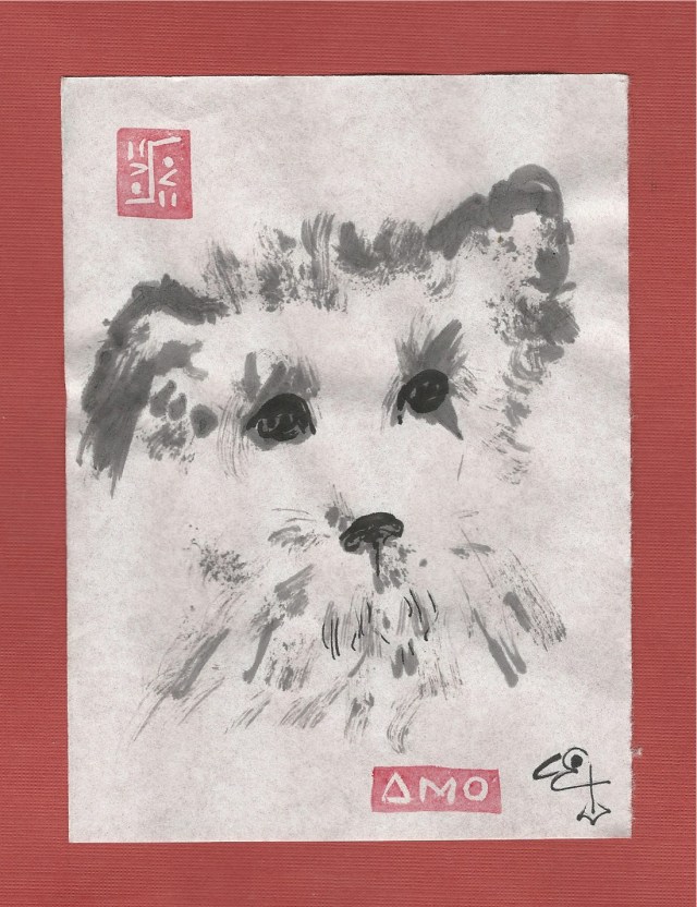 wistful-kind-terrier-mix