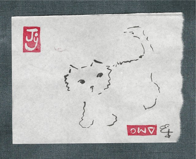 little-orange-kitten