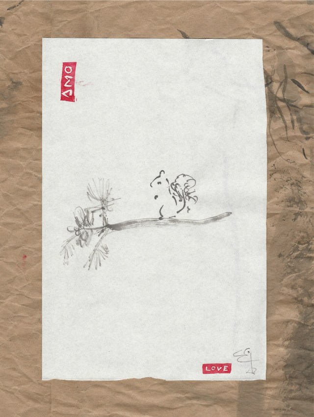 squirrel-on-pine-limb