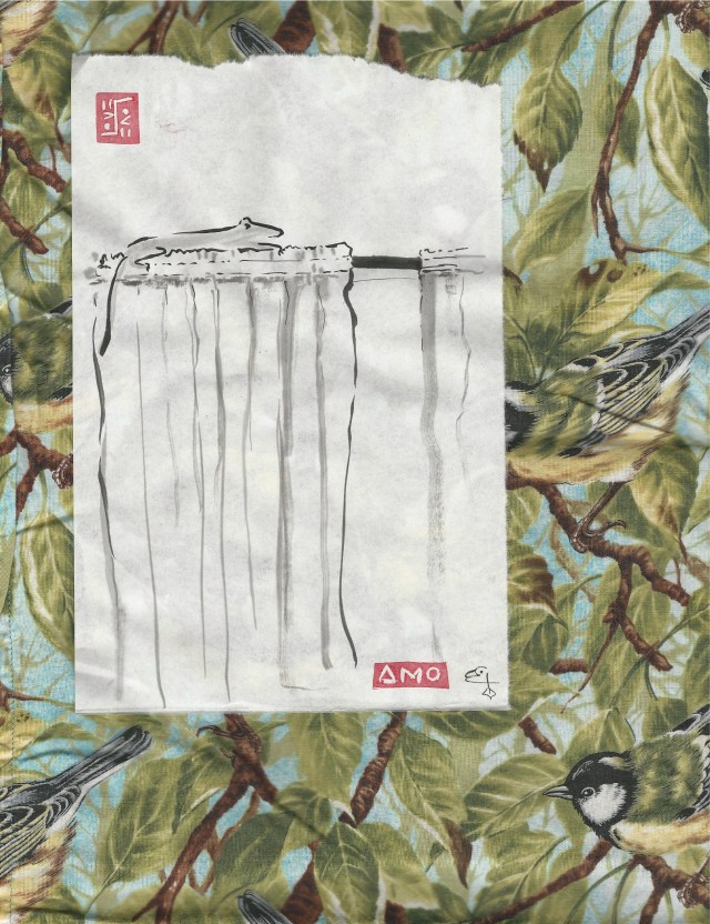 anole-on-the-curtain-rod