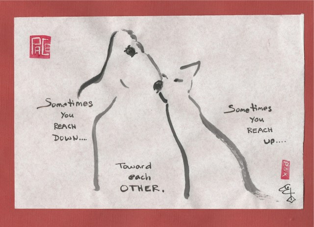 cat-dog-friendship-rach-up