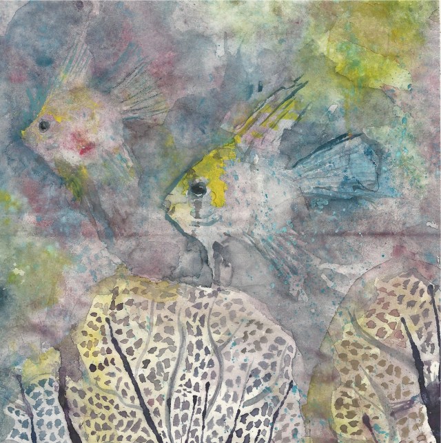 hidden-angel-fishes-color