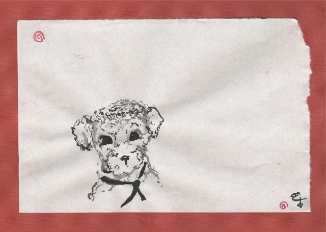 little-fuzzy-terrier-pup