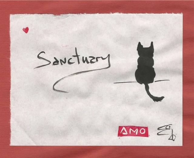 sanctuary-cat
