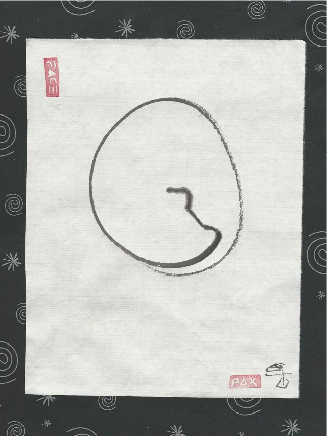 cat-enzo-with-spirals